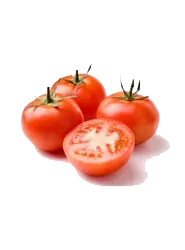 Pomidor zirə